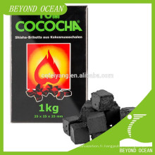 Vente chaude 25x25x25mm cococha shesha charbon à vendre